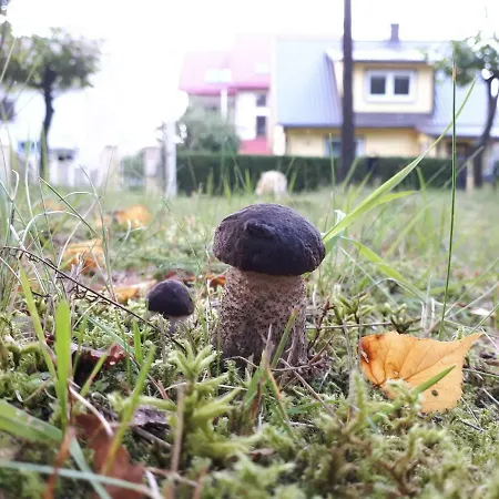 Guest house Forest *