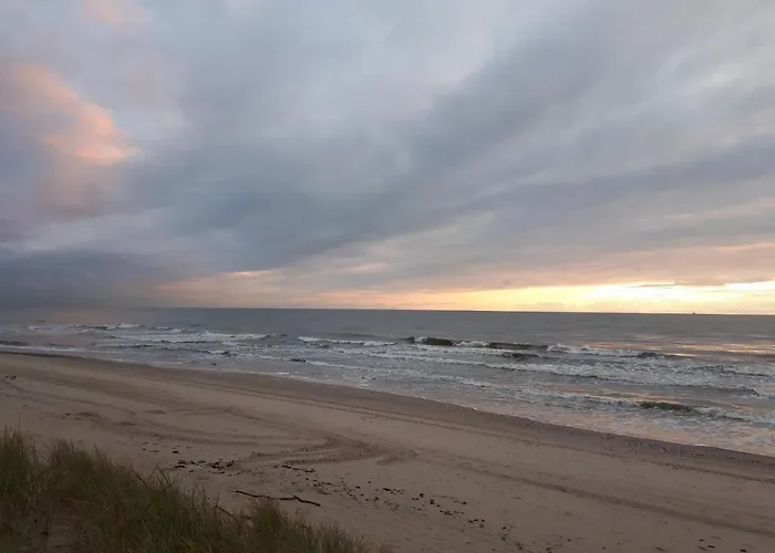 Svečių namai Forest