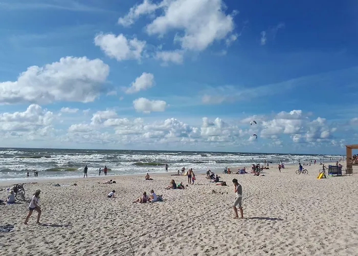 Forest Svečių namai *