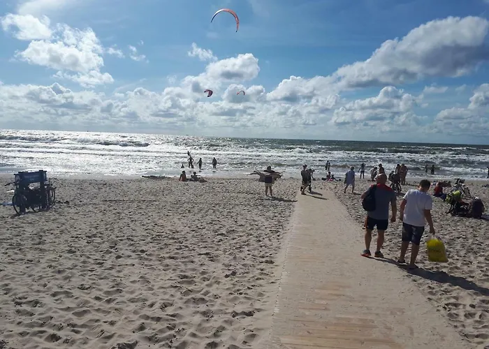 Forest Svečių namai *